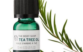 Use Tea Tree oil