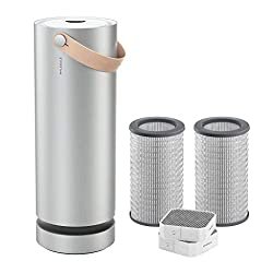 Molecule Air Large Purifier