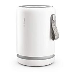 Molecule air mini purifier