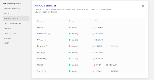 Cloudways Managed Service