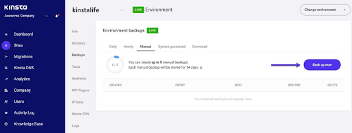 Kinsta Security and backups